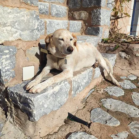 Ktima Karageorgou 3* Areopoli