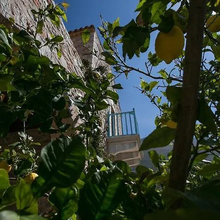 Ktima Karageorgou Areopoli